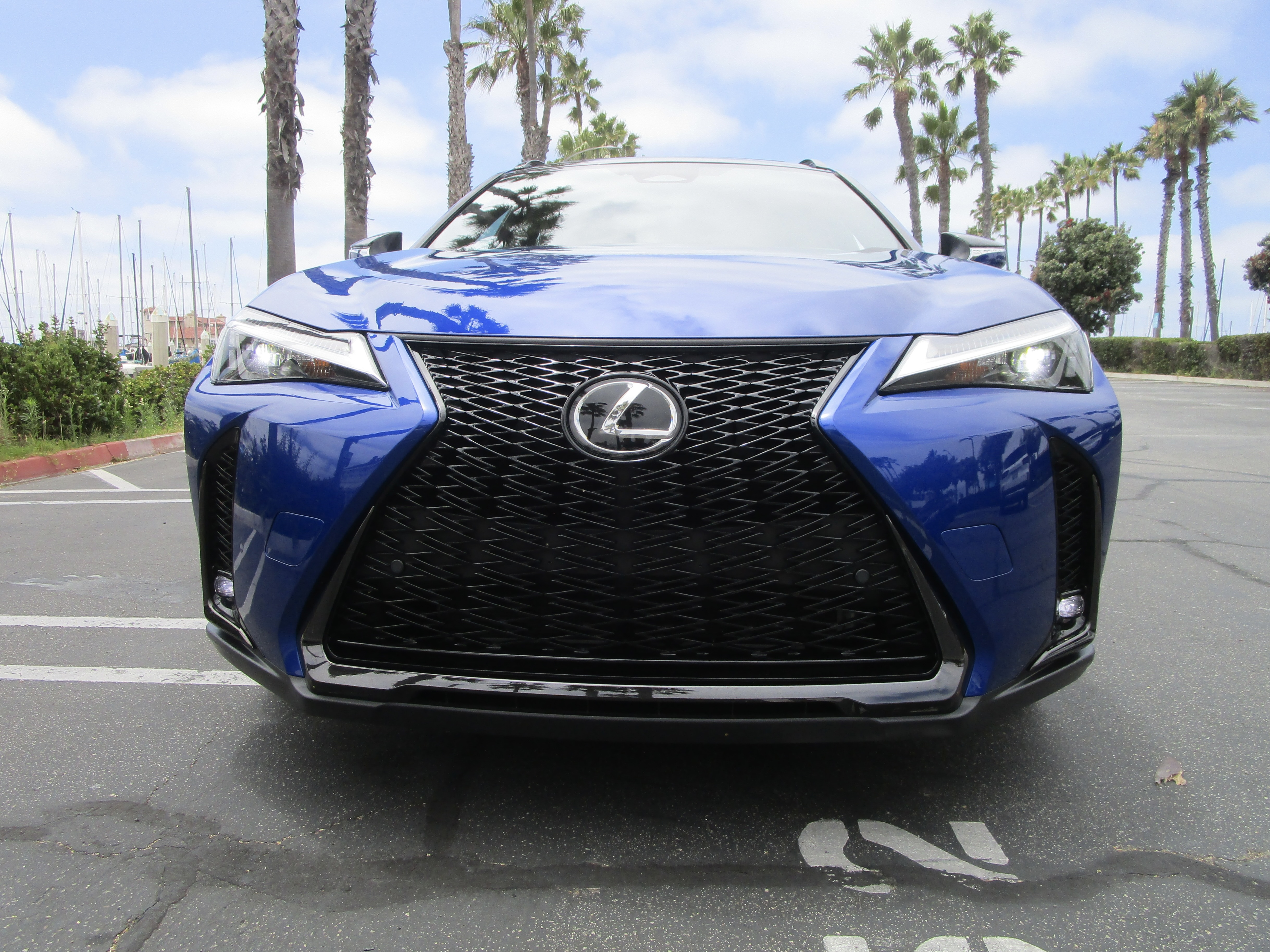 2025 Lexus UX300h F SPORT H review by Ben Lewis